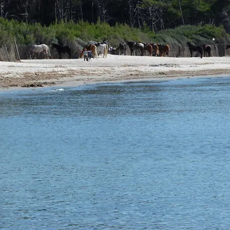 A Due Passi Dal Mare Affittacamere Marina di Cecina